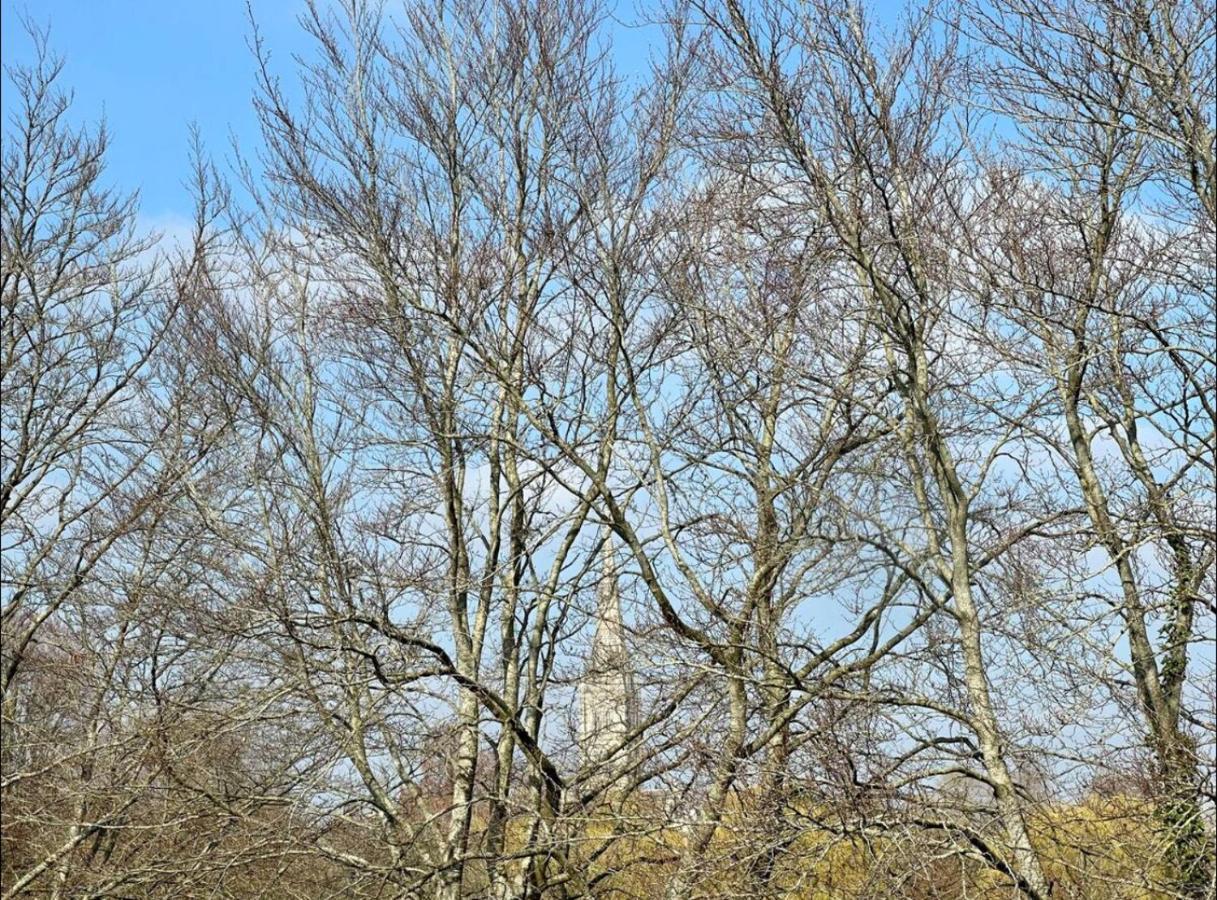 Close To Salisbury Cathedral Exterior photo